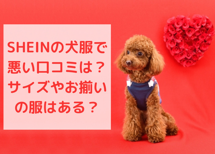 SHEINの犬服で悪い口コミは？サイズやお揃いの服はある？